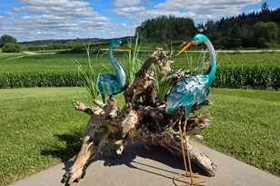 4459 130th St NW, Mazeppa, MN 55956 - Photo 47