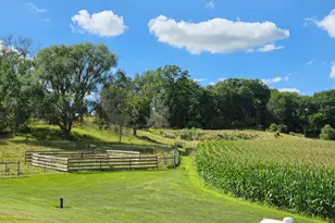 4459 130th St NW, Mazeppa, MN 55956 - Photo 41