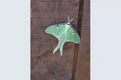 2594 County Road 8, Barnum, MN 55707 - Photo 85