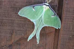 2594 Co Rd 8, Barnum, MN 55707 - Photo 85