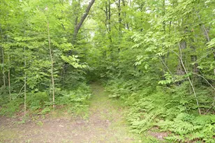 32375 US Hwy 169, Onamia, MN 56359 - Photo 17