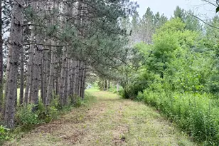 Xyz Plank Rd, Sturgeon Lake, MN 55783 - Photo 1