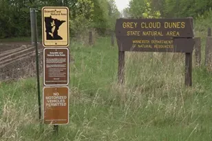 6809 104th St S, Cottage Grove, MN 55016 - Photo 23