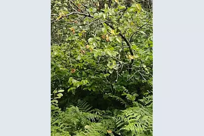 Xxxx 159th Avenue, Sebeka, MN 56477 - Photo 31