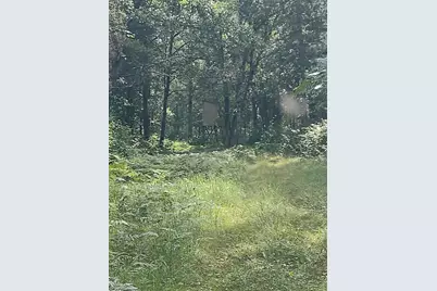 Xxxx 159th Avenue, Sebeka, MN 56477 - Photo 25