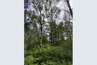 Xxxx 159th Avenue, Sebeka, MN 56477 - Photo 17