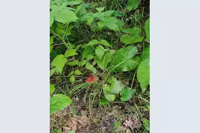 Xxxx 159th Avenue, Sebeka, MN 56477 - Photo 29