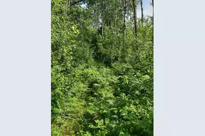 Xxxx 159th Avenue, Sebeka, MN 56477 - Photo 19