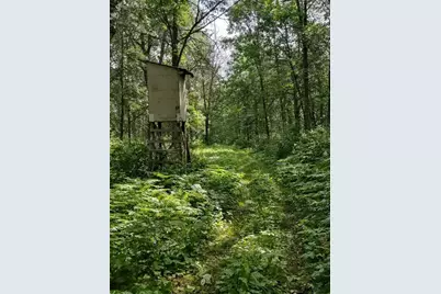 Xxxx 159th Avenue, Sebeka, MN 56477 - Photo 25