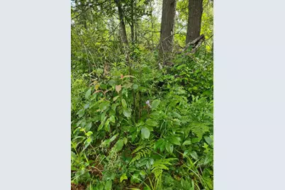Xxxx 159th Avenue, Sebeka, MN 56477 - Photo 21