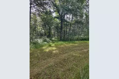 Xxxx 159th Avenue, Sebeka, MN 56477 - Photo 15