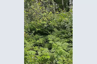 Xxxx 159th Avenue, Sebeka, MN 56477 - Photo 11