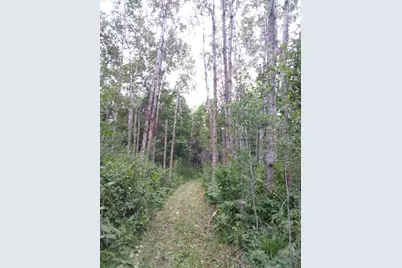 Xxxx 159th Avenue, Sebeka, MN 56477 - Photo 21