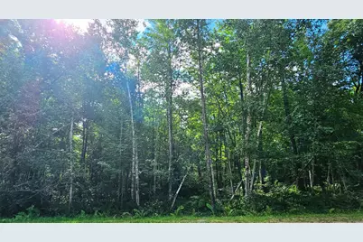 Tbd Flower Trail, Breezy Point, MN 56472 - Photo 15