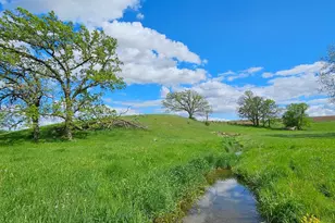 16128 331st Ave, Harmony, MN 55939 - Photo 35