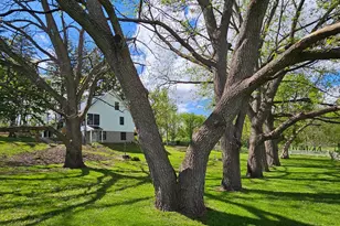 16128 331st Ave, Harmony, MN 55939 - Photo 33