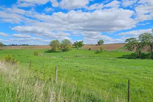 16128 331st Ave, Harmony, MN 55939 - Photo 19