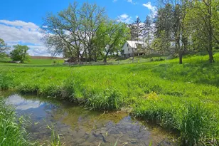 16128 331st Ave, Harmony, MN 55939 - Photo 1