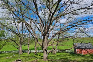 16128 331st Ave, Harmony, MN 55939 - Photo 31