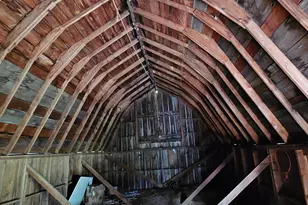 16128 331st Ave, Harmony, MN 55939 - Photo 29