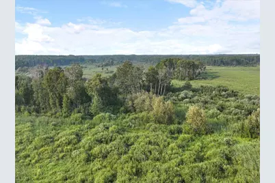 Tbd Bunnyhill Road, Sebeka, MN 56477 - Photo 13