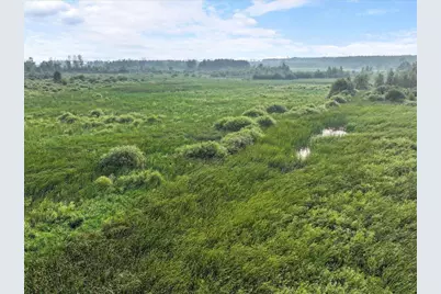 Tbd Bunnyhill Road, Sebeka, MN 56477 - Photo 15