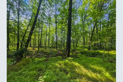 28017 303rd Place, Aitkin, MN 56431 - Photo 9