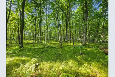 28017 303rd Place, Aitkin, MN 56431 - Photo 7