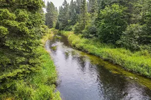 14804 143rd Ave, Park Rapids, MN 56470 - Photo 53
