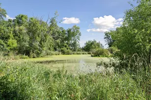 51823 Birch Ave, Rush City, MN 55069 - Photo 29