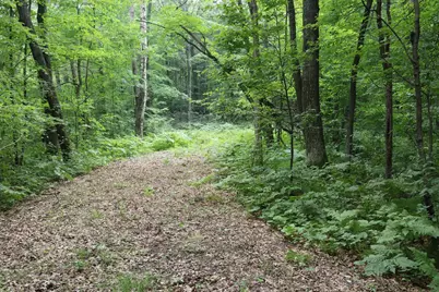 Lot 11 103rd Street, Frederic, WI 54837 - Photo 13