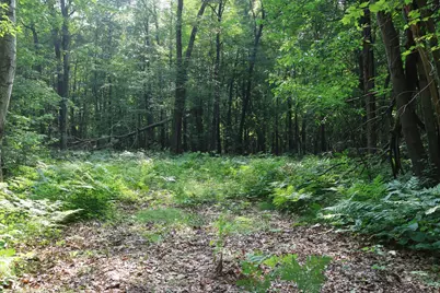 Lot 11 103rd Street, Frederic, WI 54837 - Photo 11