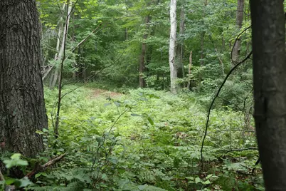 Lot 11 103rd Street, Frederic, WI 54837 - Photo 5