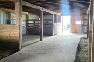 13130 County 21, Canton, MN 55922 - Photo 53