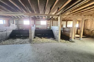 13130 County 21, Canton, MN 55922 - Photo 39