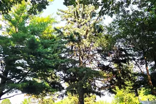 400 Edgewood Dr, Glencoe, MN 55336 - Photo 43