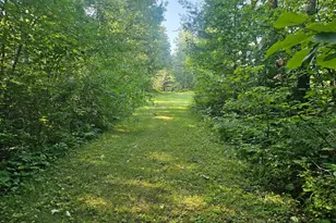 Tbd Lot 1 Bunny Ln, Crosby, MN 56441 - Photo 1