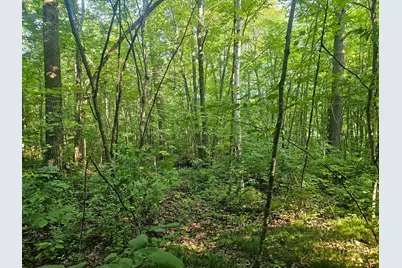 Tbd Lot 2 Bunny Lane, Crosby, MN 56441 - Photo 7