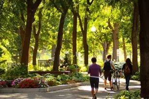 1235 Yale Pl, Minneapolis, MN 55403 - Photo 41