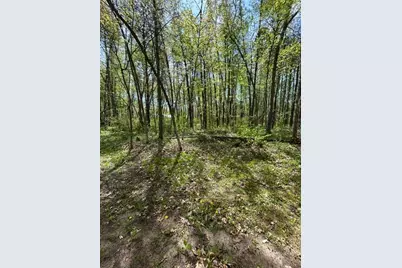 5020 Woodland Drive NW, Hackensack, MN 56452 - Photo 59