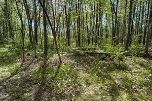 5020 Woodland Dr NW, Hackensack, MN 56452 - Photo 59