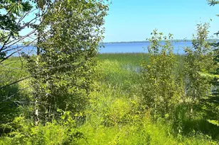 16779 Angle Shoreline, Angle Inlet, MN 56711 - Photo 33