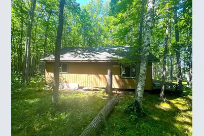 16779 Angle Shoreline, Angle Inlet, MN 56711 - Photo 25