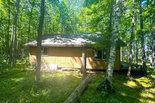 16779 Angle Shoreline, Angle Inlet, MN 56711 - Photo 25