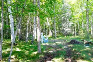 16779 Angle Shoreline, Angle Inlet, MN 56711 - Photo 27