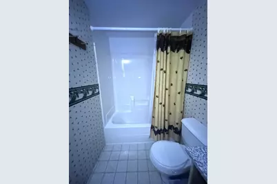 16779 Angle Shoreline, Angle Inlet, MN 56711 - Photo 13