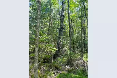 16779 Angle Shoreline, Angle Inlet, MN 56711 - Photo 31