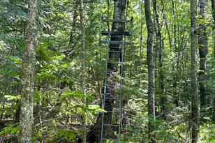 16779 Angle Shoreline, Angle Inlet, MN 56711 - Photo 31