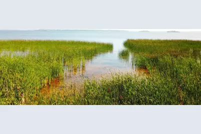 16779 Angle Shoreline, Angle Inlet, MN 56711 - Photo 35