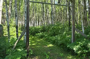 2965 Bankton Rd SW, Victory Twp, MN 56623 - Photo 11